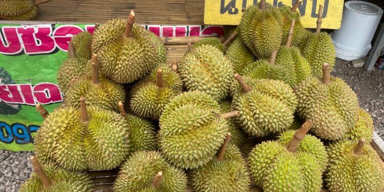 Durian