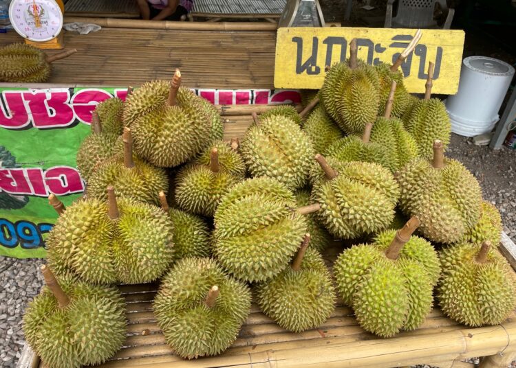 Durian