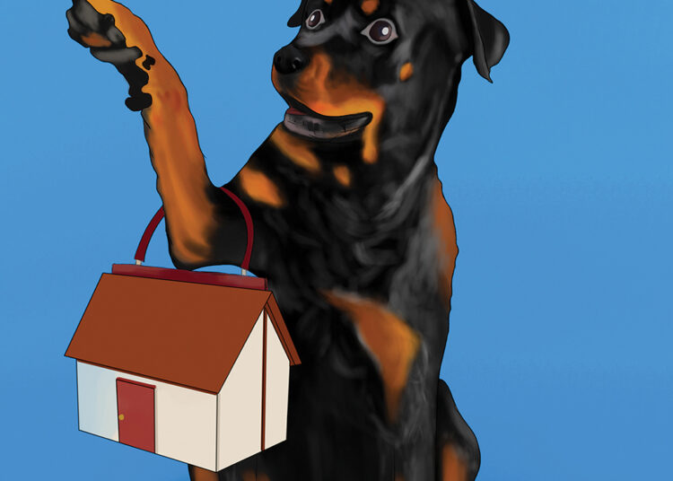 Secrets and Lies: Lawyer Gillian Howard Releases New Book