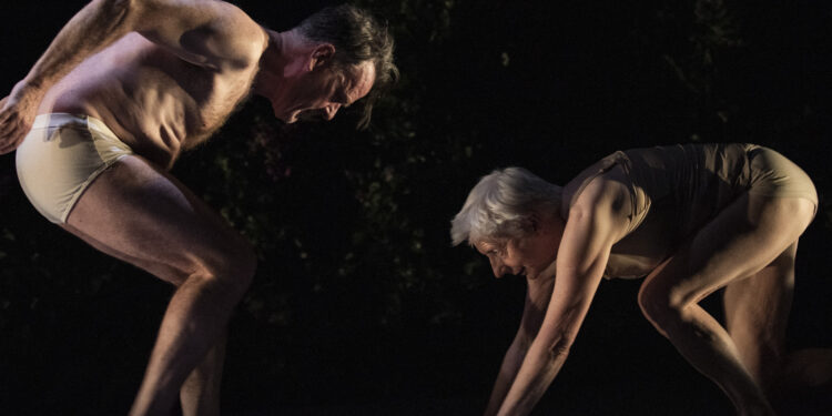 Dances Like a Bomb – Review