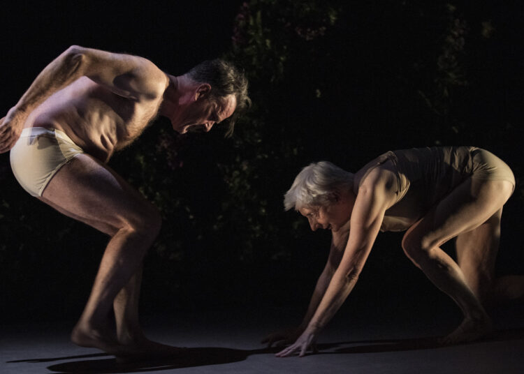 Dances Like a Bomb – Review