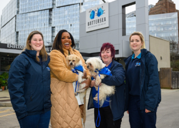 Alison Hammond comes up as top dog as the new presenter of ‘For The Love of Dogs’