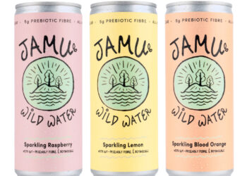 Product Review:  Not Drinking This Christmas?  Try these