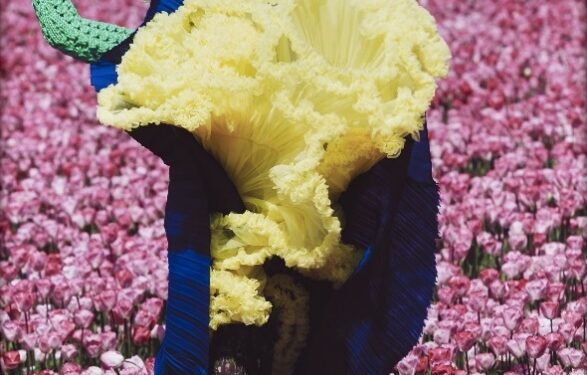Exhibition Review: Snapshot of Photographic Glories