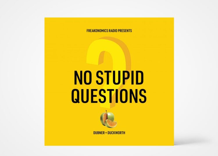 Podcast of the Week: No Stupid Questions