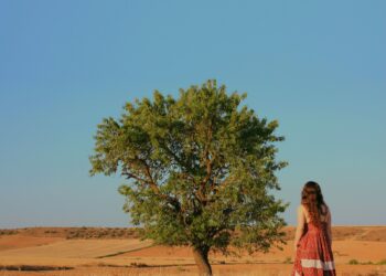 Music: Ali Shimmers With Mirage