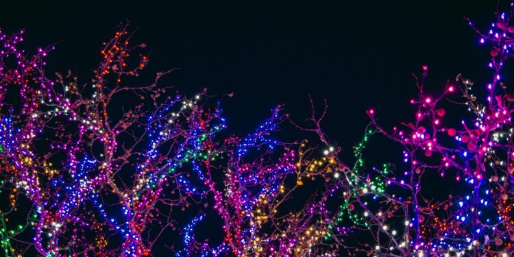 Bare tree branches wrapped in colourful fairy lights glowing against a dark night sky.